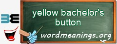 WordMeaning blackboard for yellow bachelor's button
